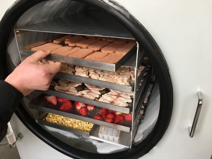 Home freeze dryer Home freeze dryer