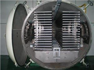 Вакуумна сублімаційна сушарка для полуниці за найкращою ціною